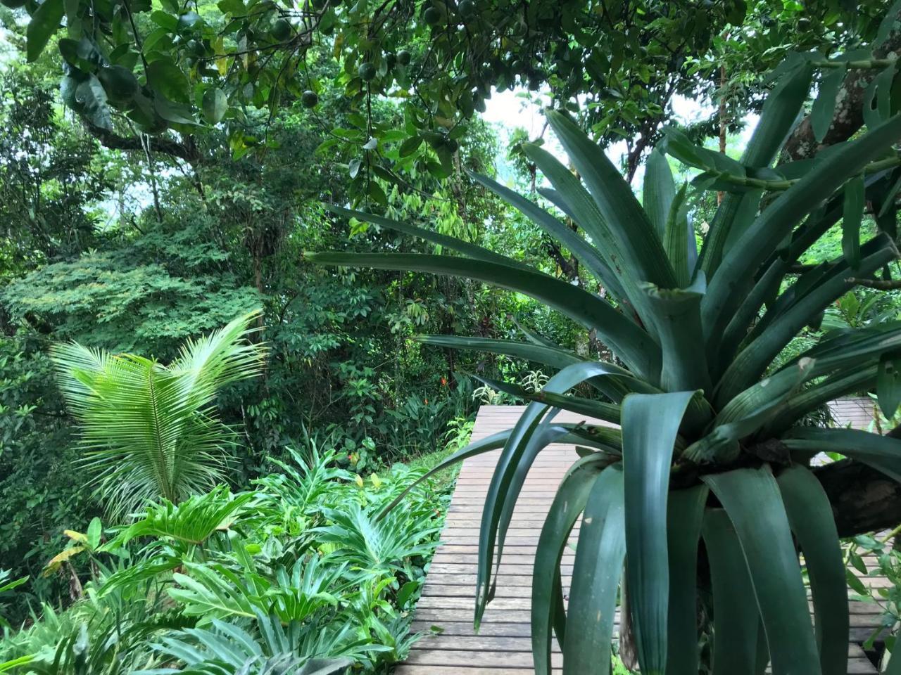 Pousada Rainforest House - Ilha Grande Exterior foto